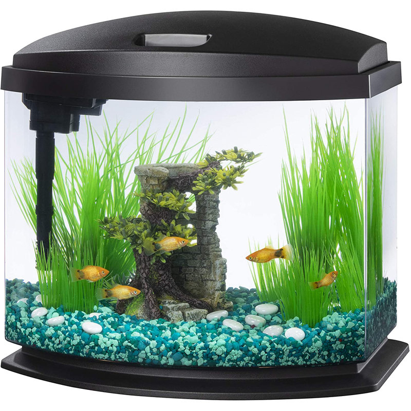 Tucker Murphy Pet™ Bahattin Semicircle Aquarium Tank Wayfair